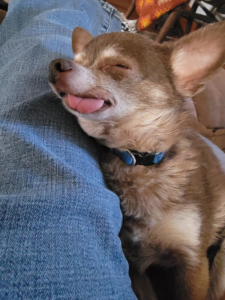 SmallMissionBW's tweet image. We've been silent for quite a while as we dealt with health issues (still ongoing 🙄), but we have some BIG changes coming!!! 😀We have our first events scheduled in May and are really excited to get back to it! Stay tuned for updates!!!
#changetheworldbysmbw #SmallThingz