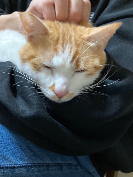 Twitterのコスプレ画像40