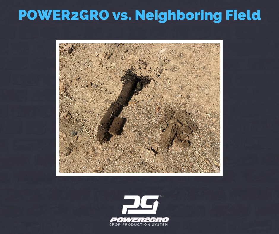 POWER2GRO's tweet photo. Sometimes seeing is believing. Click to read: https://t.co/3bMe1L16EP Learn what two years of the POWER2GRO Crop Production System paired with soil health principles can do for you. #regenerativeagriculture #soilhealth #POWER2GRO #CropHealth #AgSolutionsNetwork #FeartheSame https://t.co/6Q3U8gJv4R