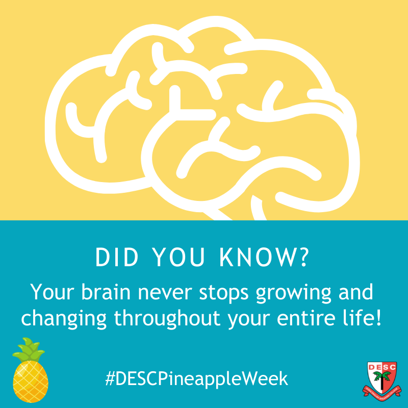 DESCDubai's tweet photo. #education #teachingandlearning #school #teaching #learning #classroom #teaching #DESCteaching #DESClearning https://t.co/K1PfmAPAaq