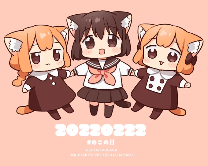 ねこっぽい姉妹&amp;ねこ😺😸😺

#ねこの日 #猫の日
#ねこのこはな
#うめともものふつうの暮らし 