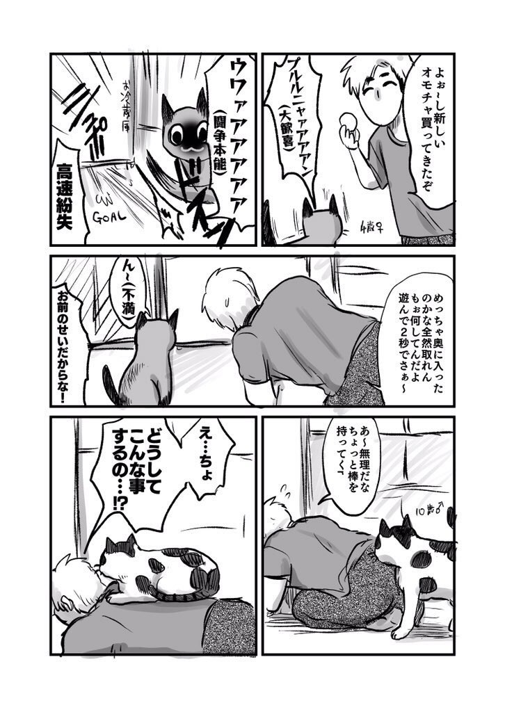 猫の日なので実家の猫漫画※再掲 #にゃんにゃんにゃんの日 #ねこの日 