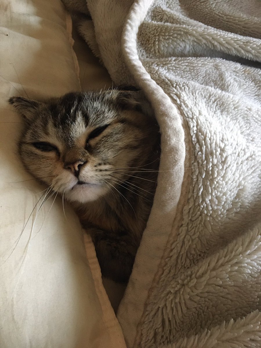 おはようの顔(˘ω˘) 