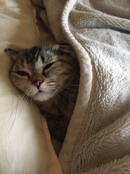 おはようの顔(˘ω˘) 