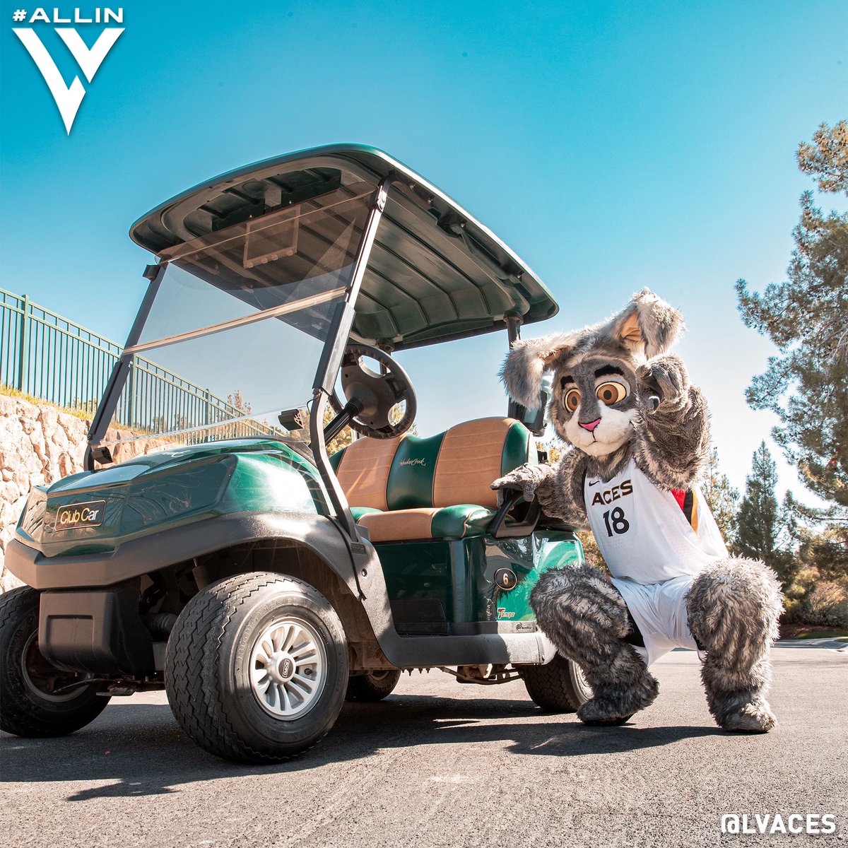 Las Vegas Aces on Twitter "BUCKET says…