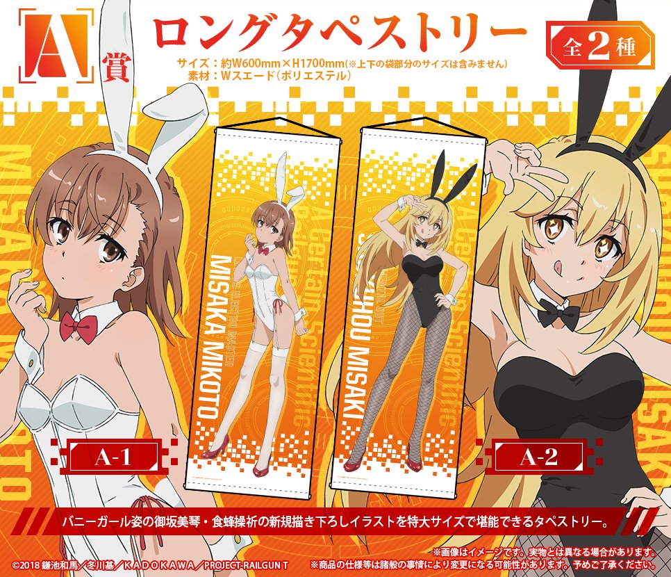 『とある科学の超電磁砲T』オンラインくじ ロングタペストリー 食蜂操祈 食蜂操祈 ロングタペストリー とある科学の超電磁砲T オンラインくじ A