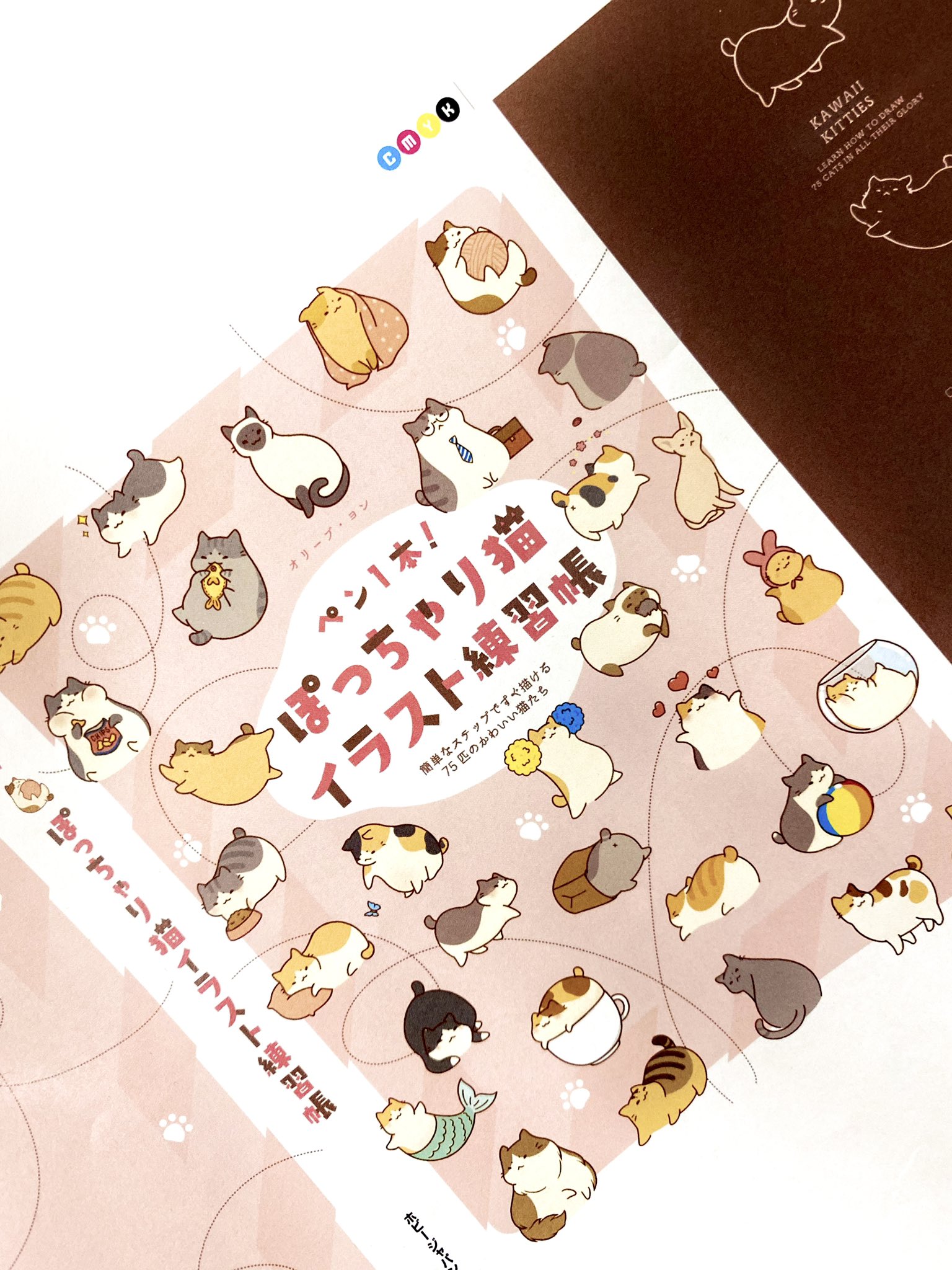 ホビージャパンの技法書 Su Twitter ペン1本 ぽっちゃり猫イラスト練習帳 3月25日に発売予定です カバーと書店で目印になりそうなものをチラ見せします ねこの日 T Co Eeb2syynop Twitter
