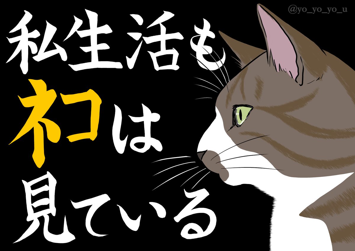 猫の日だし町じゅうに貼ってくるか
#猫の日 