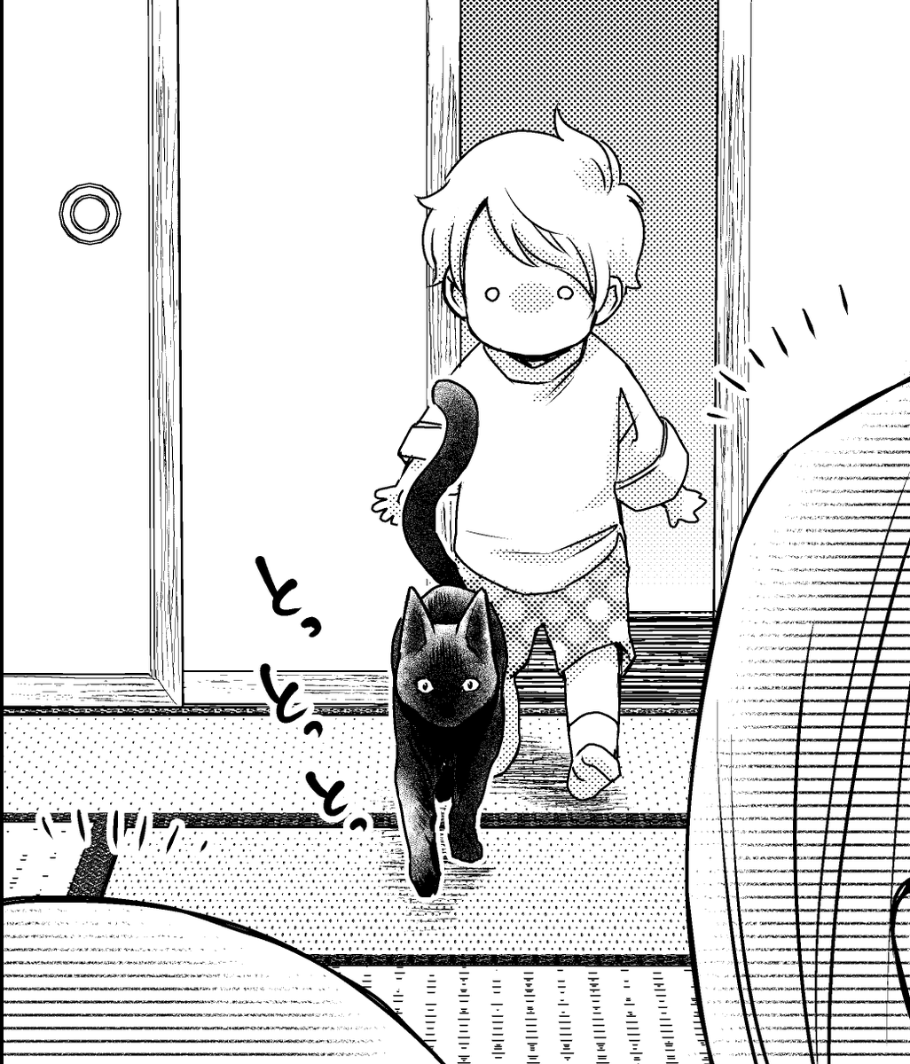 #猫の日 #にゃんにゃんにゃんの日 #猫