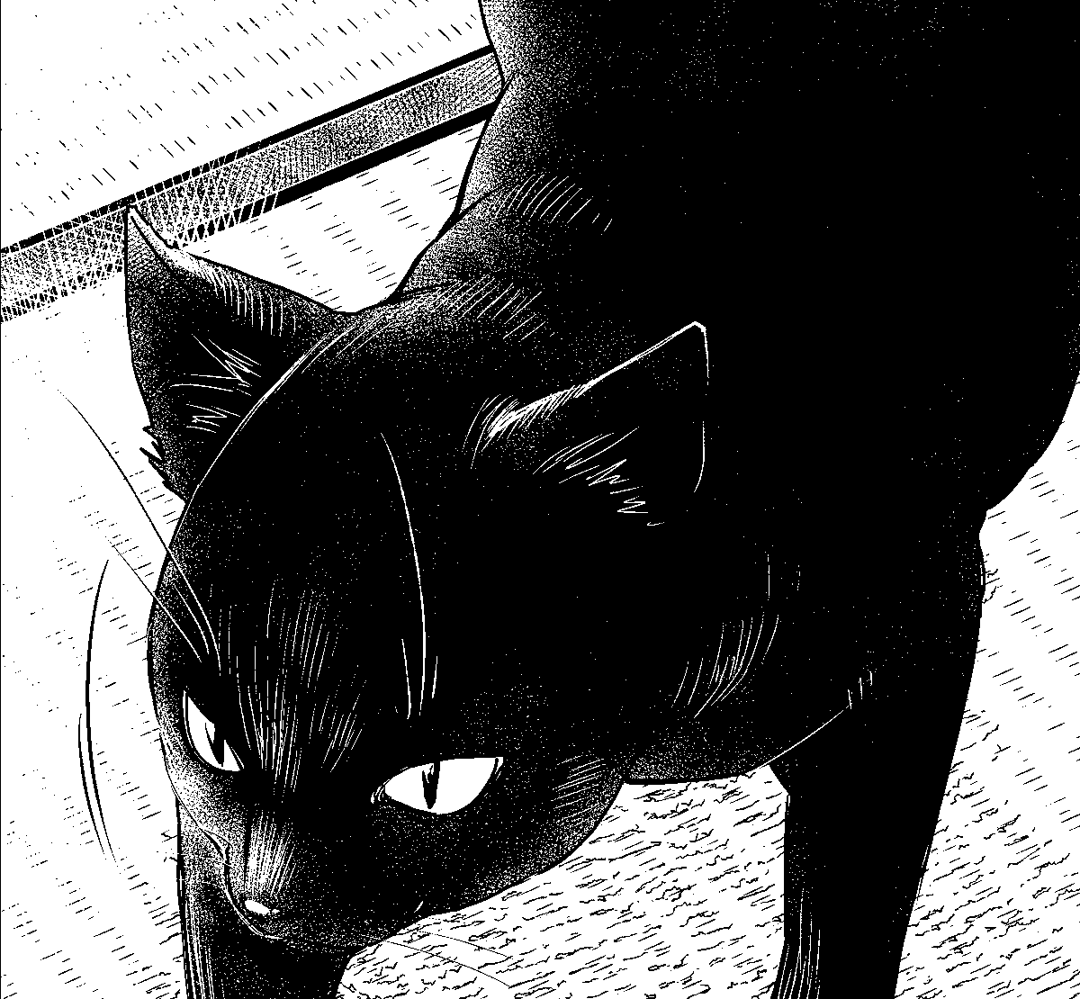 #猫の日 #にゃんにゃんにゃんの日 #猫