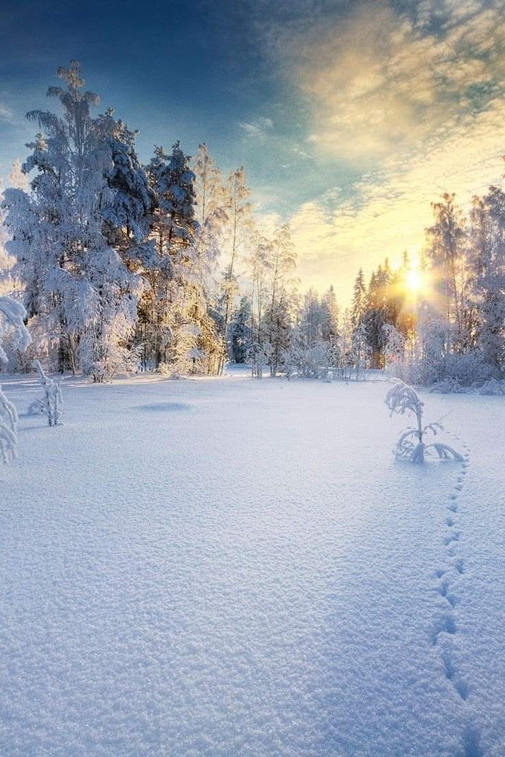 Good morning.