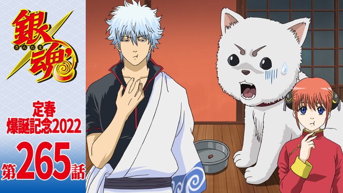 銀魂 銀祭り19 仮 昼の部 夜の部 イベントレポ 感想 セトリ キティちゃん 完全新作発表映像の考察もあるよ ぱっつぁん オルタ のブログ 仮