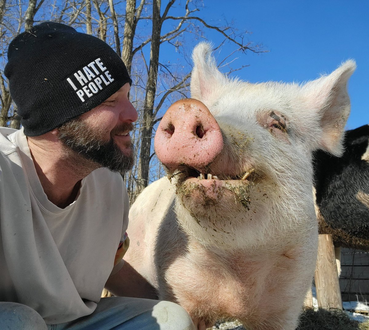 GregJC's tweet photo. Best friends come in many forms if you give them a chance and show compassion. Jones jumped off a slaughter truck about a year and a half ago. @BASanctuaryNY #Vegan #fortheanimals https://t.co/ttydMxv29v