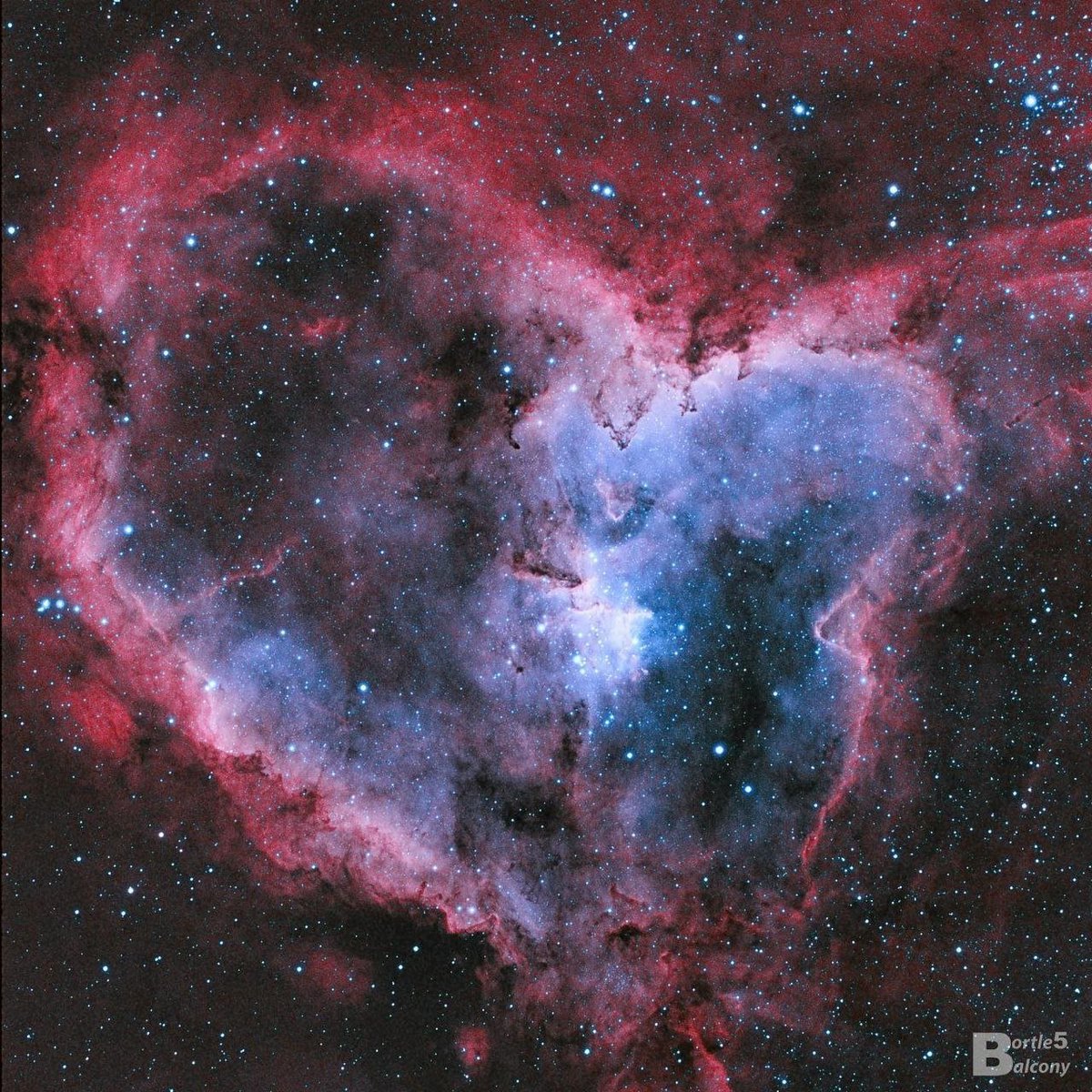 astrophotosnap's tweet photo. Heart Nebula https://t.co/PapXbSbqQJ
