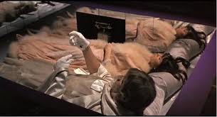 PhibesForever's tweet image. Lady Victoria Regina Phibes = Caroline Munro
#TheAbominableDrPhibes #DrAntonPhibes #LadyVictoriaPhibes #ClassicHorrorLoveStory #LoveMeansForever