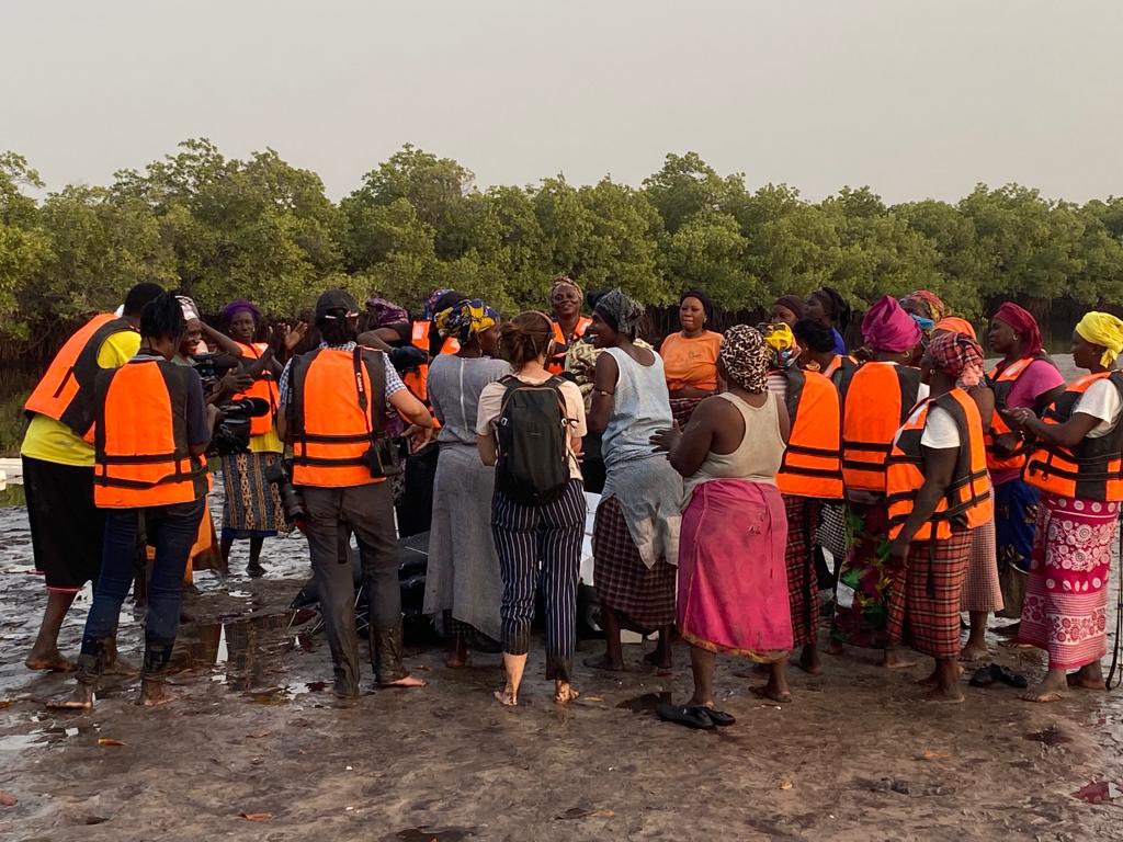 FIDAfriqueOuest's tweet photo. Découvrez comment le projet d'appui à la résilience des filières agricoles #PARFA financé par @leFIDA a amélioré la sécurité alimentaire des petits exploitants sénégalais du Delta du Saloum et leur résilience face à la dégradation de l’environnement et à la variabilité du climat. https://t.co/MlQu1cmBfU