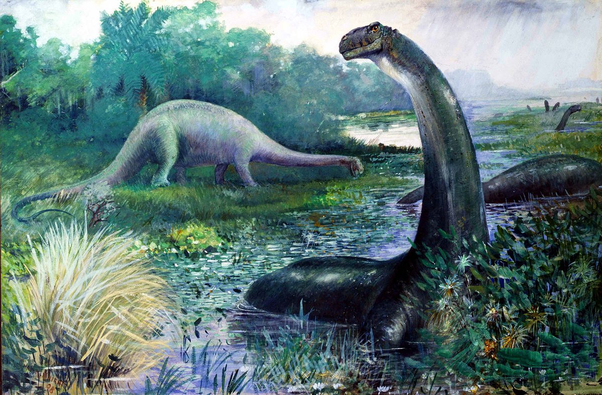 wikivictorian's tweet photo. Illustration of Brontosaurus in the water, and Diplodocus on land, by American painter Charles R. Knight (1897). https://t.co/M4pyjVTDRQ