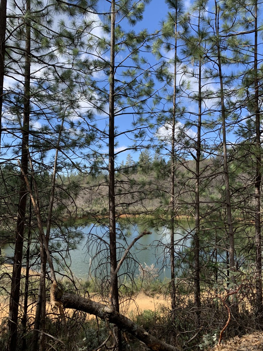Diane_Y's tweet photo. Todays hike. #ColfaxCA #hikewithfriends #trails https://t.co/LNHTdxAk8E