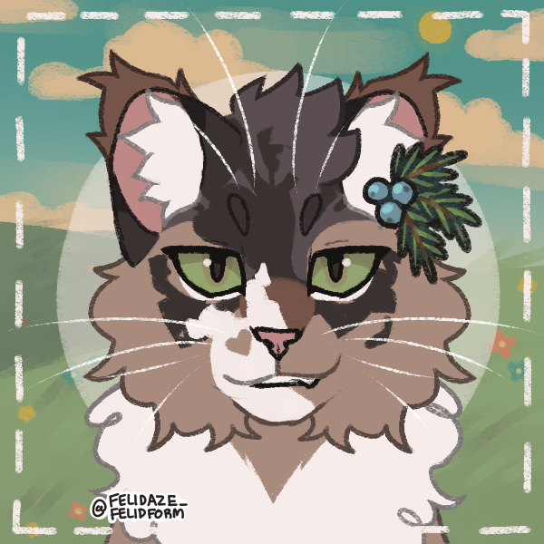 felidaze's warrior cat creator｜Picrew