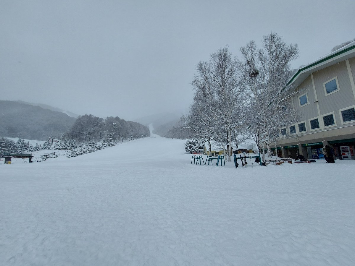 DrbSYHUSBfl7qY5's tweet photo. 今日わ尾瀬岩鞍でーす🌨️
小雪まってまーす。
新雪パウダー祭りよ~✌️
#SALOMON #パウダーボード
#sickstick #尾瀬岩鞍 https://t.co/HPBf3Xw9iJ