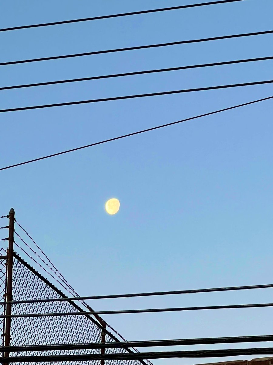 GazooToTheMoon's tweet photo. Waning Gibbous  #ToTheMoon #picsofthemoon #iphone https://t.co/JiRuqGdYit