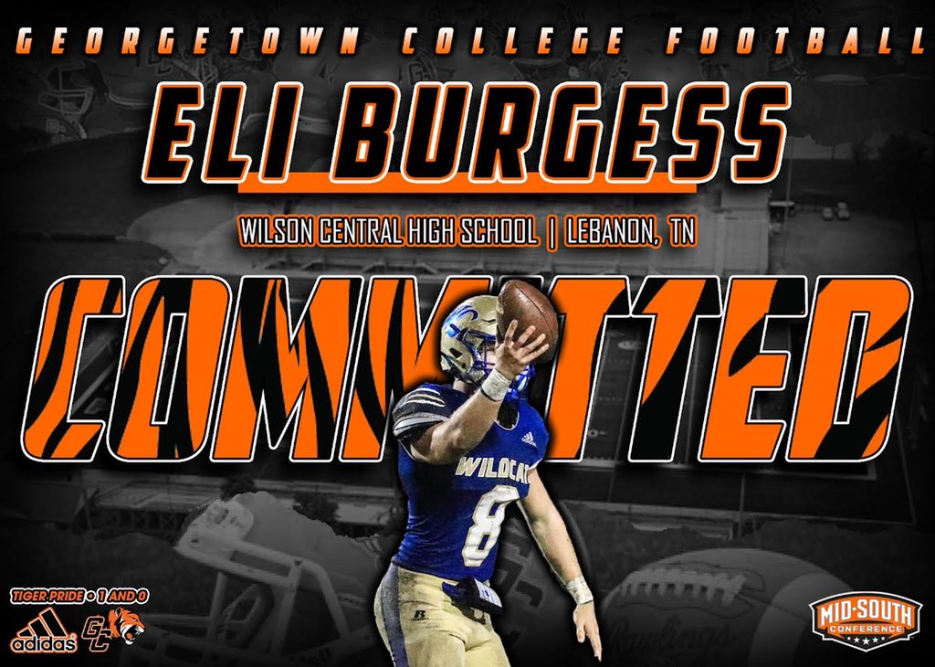 Eli Burgess tweet media