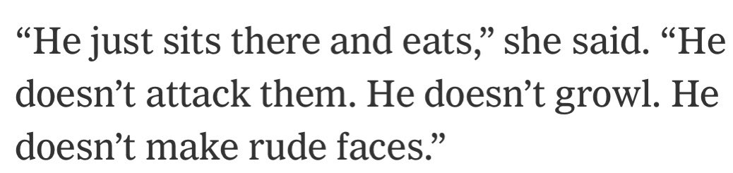 Madsbads's tweet photo. @nytimes honestly same https://t.co/Fm91g5k4wf