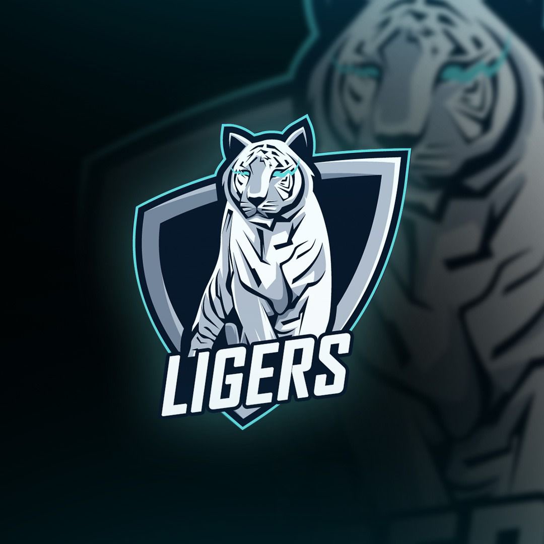 Done ✅<a href="/Ligers_fc/">LIGERS</a>