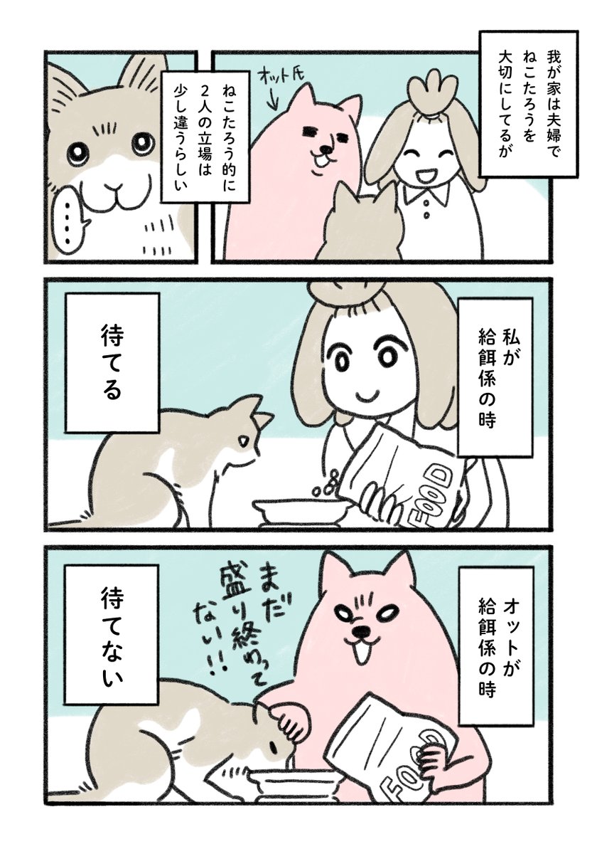 ねこの家族に対する態度の違い①🐱

土曜に②をあげます😂
たくさんあるけど、とりあえず2個かきました😂

#みちこの日記   #コルクラボマンガ専科 #猫がいる暮らし 