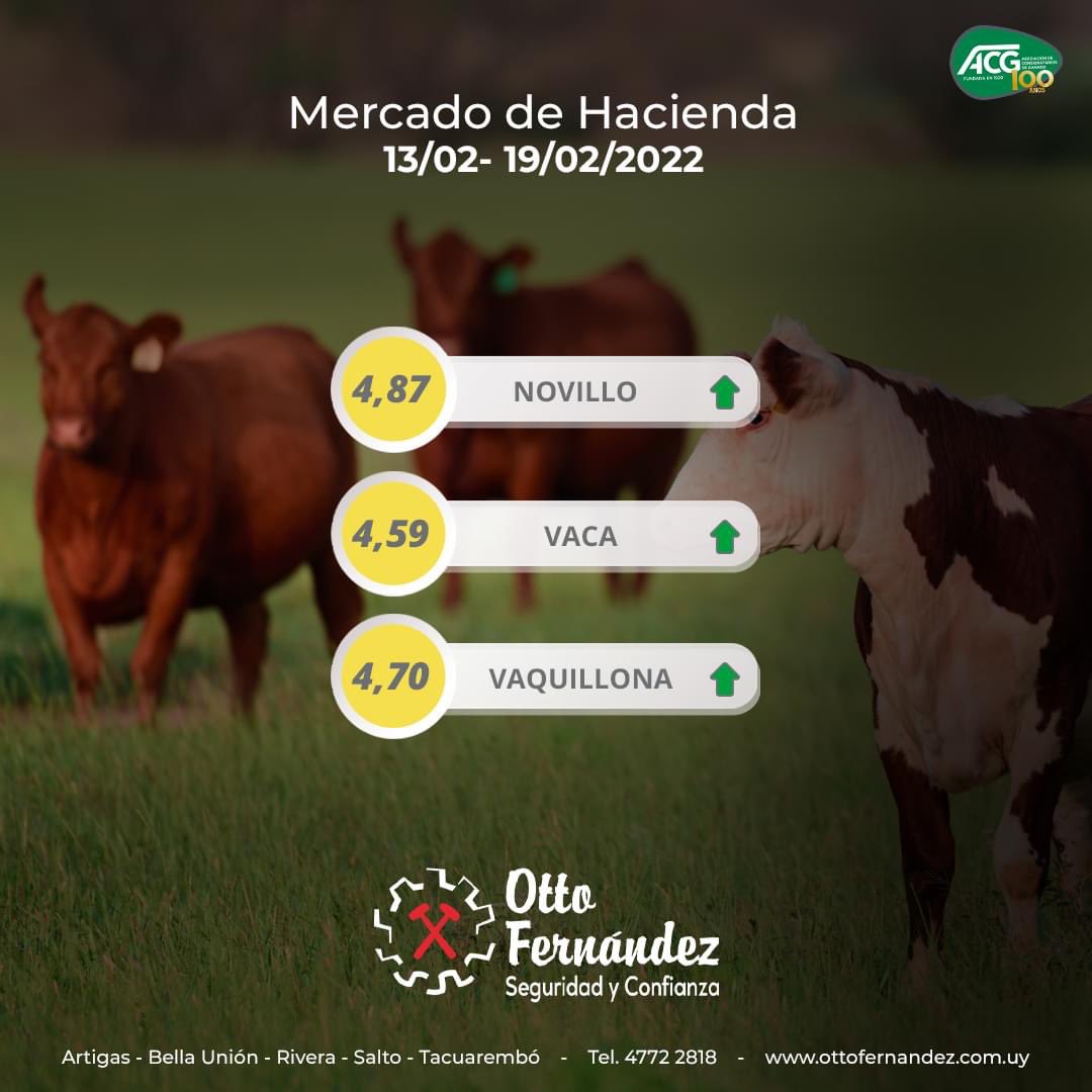 escritorioottof's tweet photo. Comentarios Semana Nº07 -  2022:

Vacunos: mercado firme y demandado que tiende a estabilizarse.

Ovinos: importante crecimiento en la faena, mercado fluido con buena colocación para todas las categorías.

𝘖𝘵𝘵𝘰 𝘍𝘦𝘳𝘯𝘢́𝘯𝘥𝘦𝘻 - "𝘚𝘦𝘨𝘶𝘳𝘪𝘥𝘢𝘥 𝘺 𝘤𝘰𝘯𝘧𝘪𝘢𝘯𝘻𝘢" https://t.co/Bm4gOaOIaF