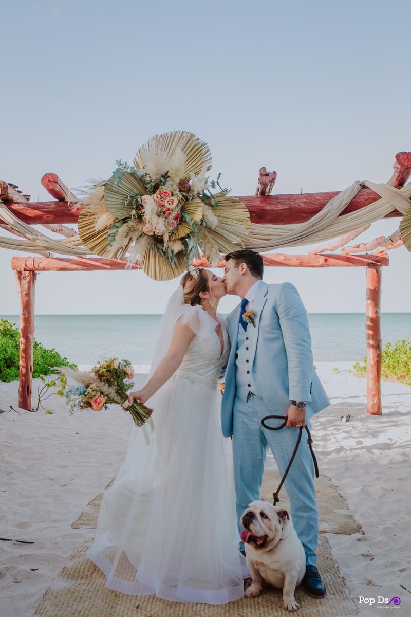 elcandilwedding's tweet photo. Historias de amor, con un invitado muy especial #300 🐶 ¡La mejor postal de amor! Mafer + Gory
.
.
.
.
#Love #Wedding #BodasEnLaPlaya #ElCandilWedding #HistoriasDeAmor #BodasDestino 
 📸 @popdsbodas https://t.co/U0qblqTxhs