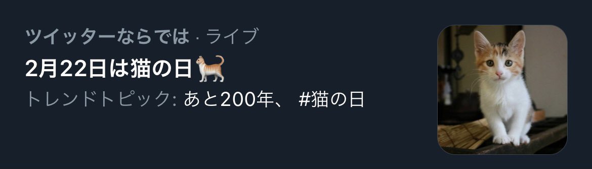 22年2月22日は スーパー猫の日 何騒いでるの あと0年待てば スーパーミラクルウルトラデラックス猫の日 が来るのに Togetter