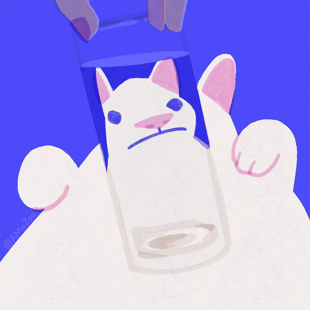 amozoe's tweet photo. 🐈 #猫の日 https://t.co/xqM3hHBbr0