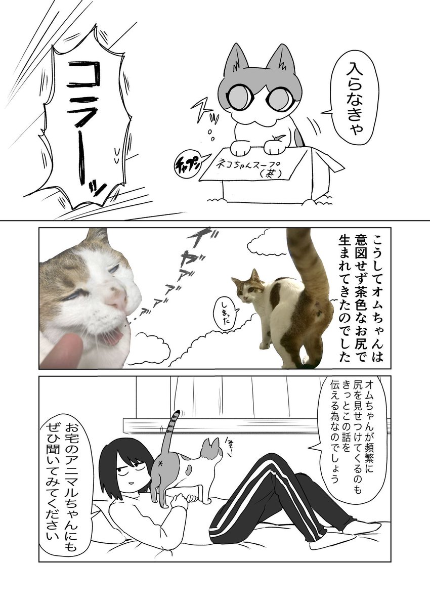 猫の日再掲🐈🐾

1年経ってもちらほら反応頂いてるお気に入りの漫画です☺️
お宅のアニマルちゃんの考察にお使いください! 