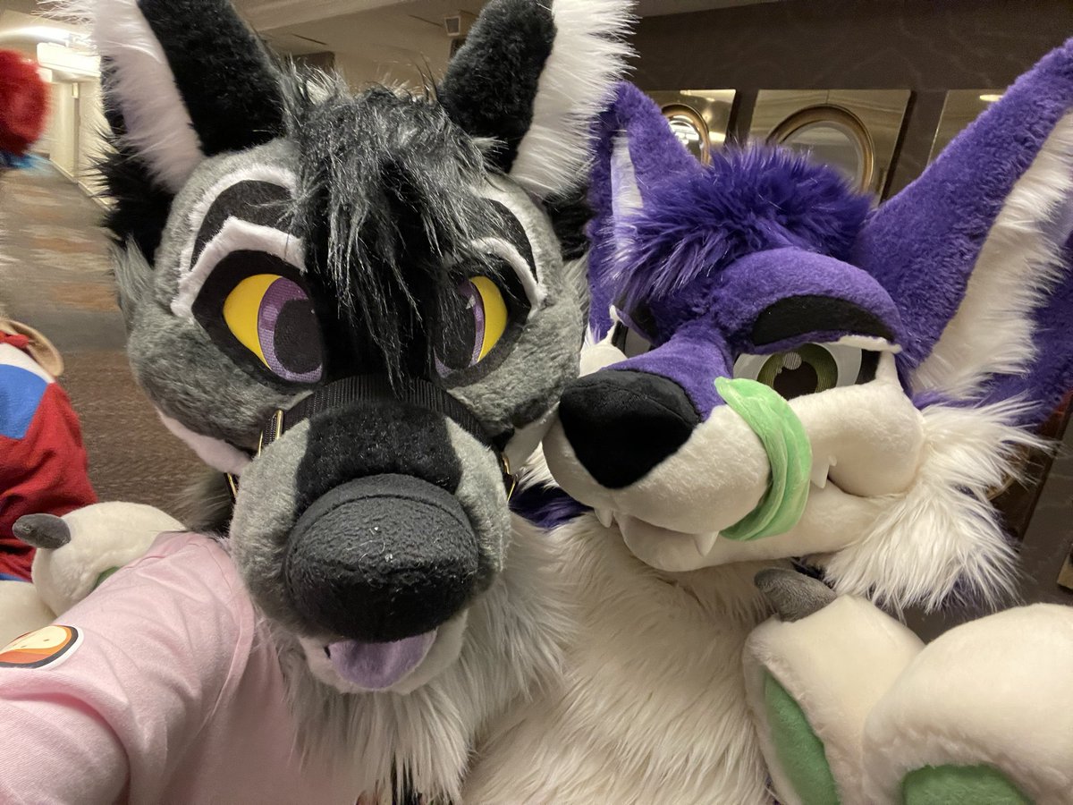 If you couldn’t tell from my last tweet, #ANE2022 was the best experience I could’ve asked for, thank you to everyone who made it special &amp; all the furs I met. If you have any pics of me, send em my way 💙

💙: <a href="/Intelwolfdragon/">🏳️‍🌈Intel🏳️‍🌈</a> 
💛: <a href="/KelthHyena/">KelthHyena 💛💙</a> 
🧡: <a href="/kaiihusky/">Who dis</a> 
💜: <a href="/jeyhusky/">Jey</a>