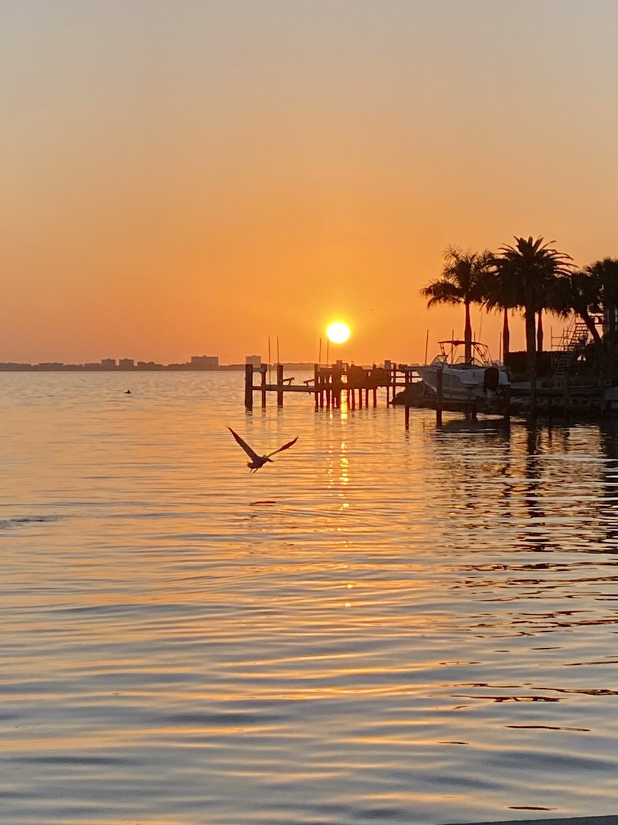 JanThornburg's tweet photo. Golden! Goodnight, #Sarasota! #WhyILiveHere ๐
โ๏ธ https://t.co/MrSvXXrFUQ