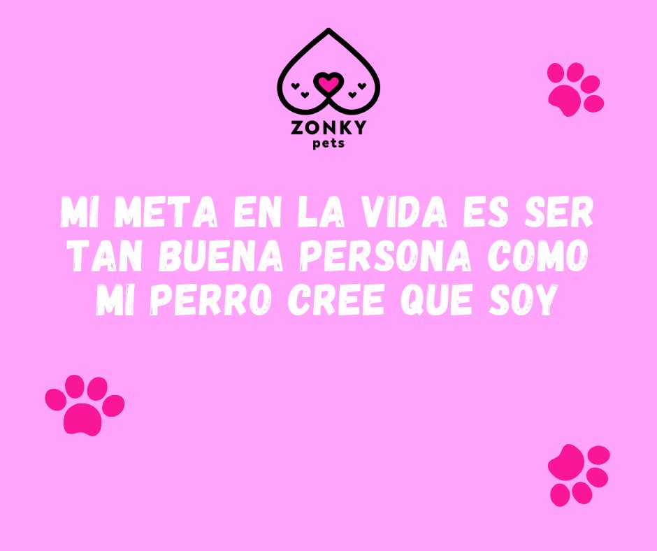ZonkyPets's tweet photo. 😍😍😍
.
.
.
#zonkypets #mascotas #perros #gatos #pets #zonky https://t.co/sjuzgBNZaH