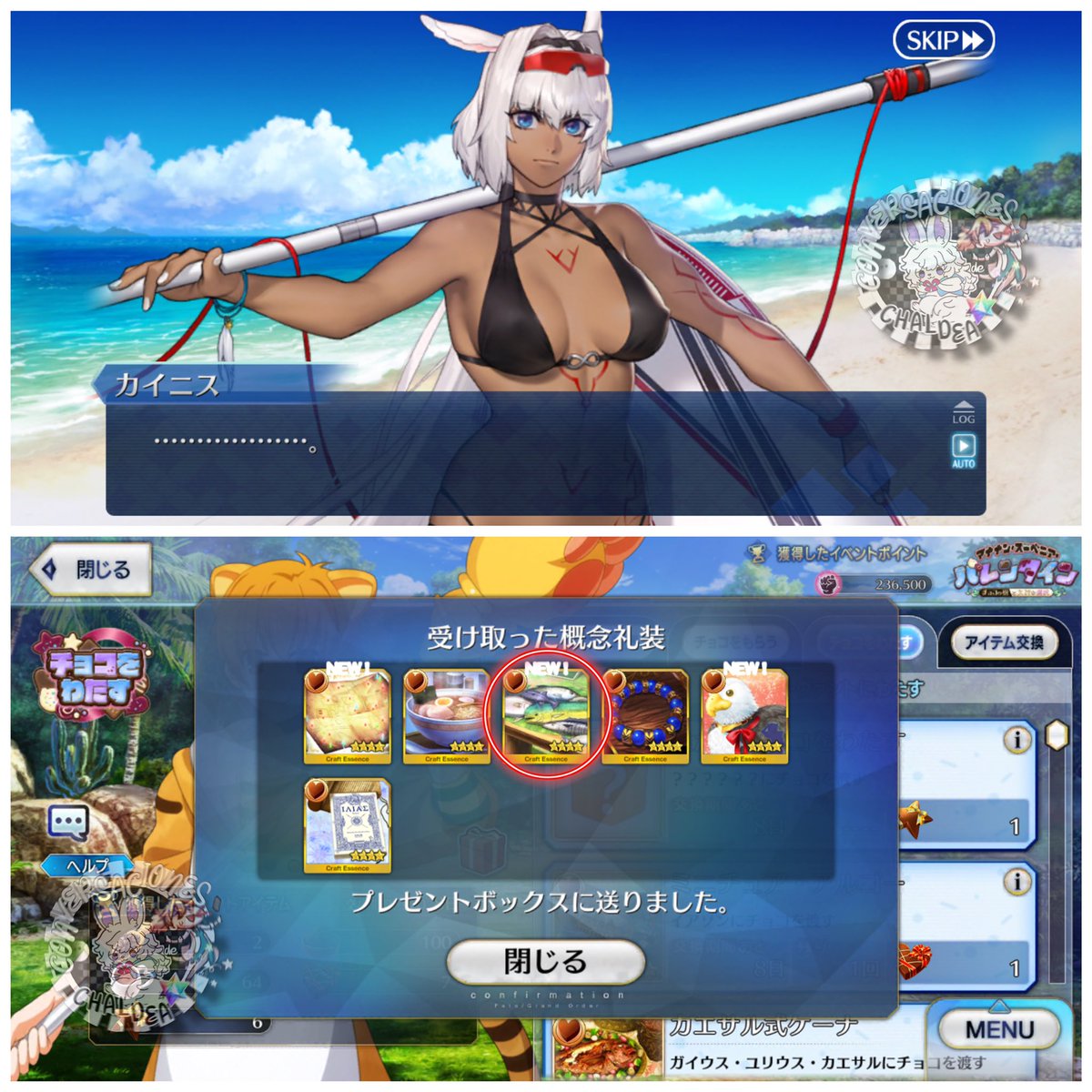 Recién he tenido tiempo de terminar el evento. 

Pero me agrado mucho el detalle de Poner a Caenus en la sección de Servant Masculinos. Y corrigieron el lugar de Astolfo. A quien en NA también era colocado como Servant femenino. Pero ya aparece junto a sus demás compañeros ✨
