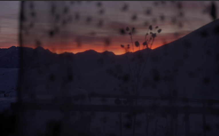 SailorTree's tweet image. 