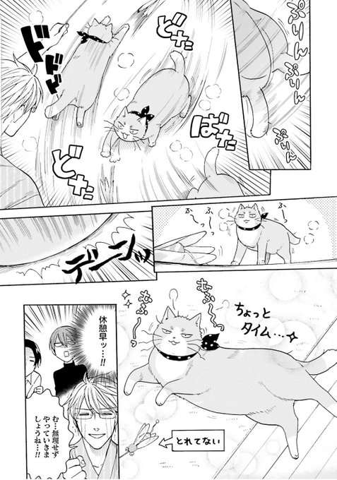 ④ | 鹿楓堂よついろ日和【公式】最新コミックス第22巻、好評発売中