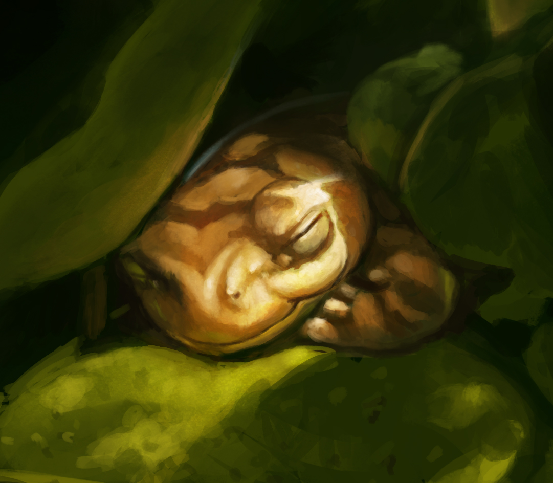 wndelasranitas's tweet photo. Sleepy Froggie.
#frogposting #frogs #digitalart https://t.co/5lELkUI4O9