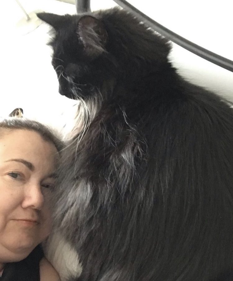 Annashay111's tweet photo. She is always too close!! https://t.co/rnxEd2barC