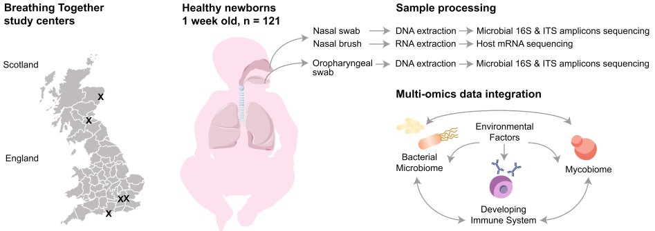 Our study on early life bacterial-fungal-immune interactions, led by <a href="/CPattaroni/">Celine Pattaroni</a>, is out in <a href="/MicrobiomeJ/">Microbiome</a>. A view into the healthy newborn upper airway environment–next step is seeing which factors predict wheeze and asthma... stay tuned!  <a href="/BreathingTogeth/">BreathingTogether</a>  doi.org/10.1186/s40168…