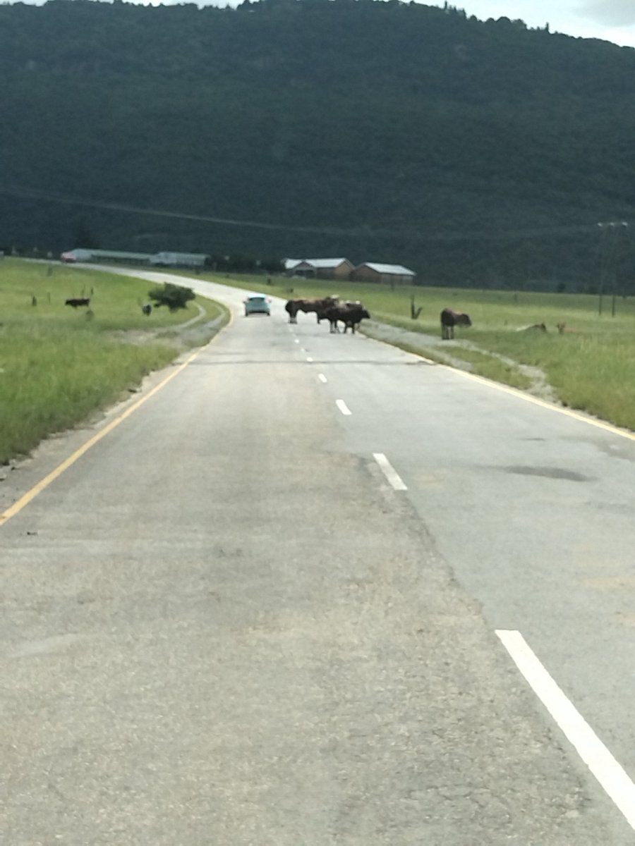 opearnold's tweet image. #AmatolaHeights #EasternCape #friendlyprovince #ectourism #shotleft @Radio2000_ZA @hogsback @EASTERNCAPEGOV