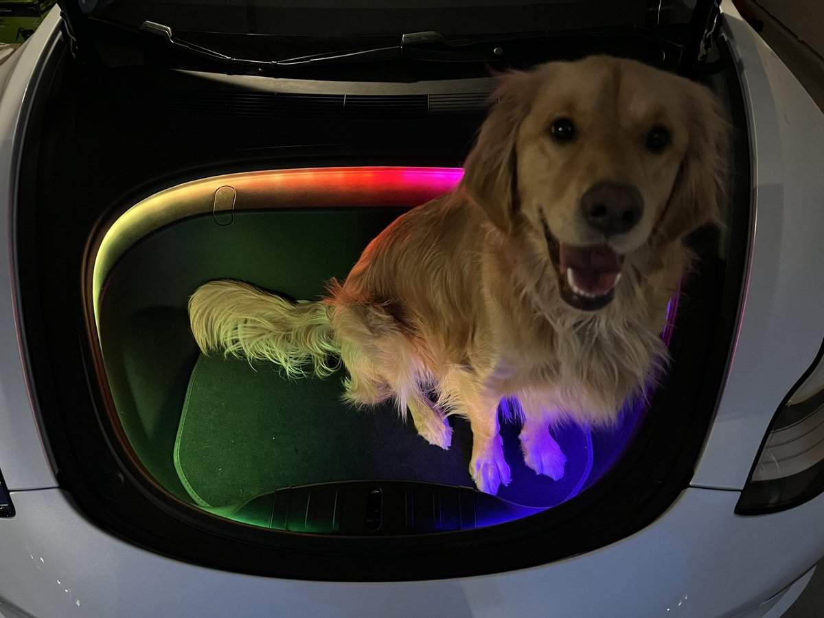 Andrew ✌️ tweet media