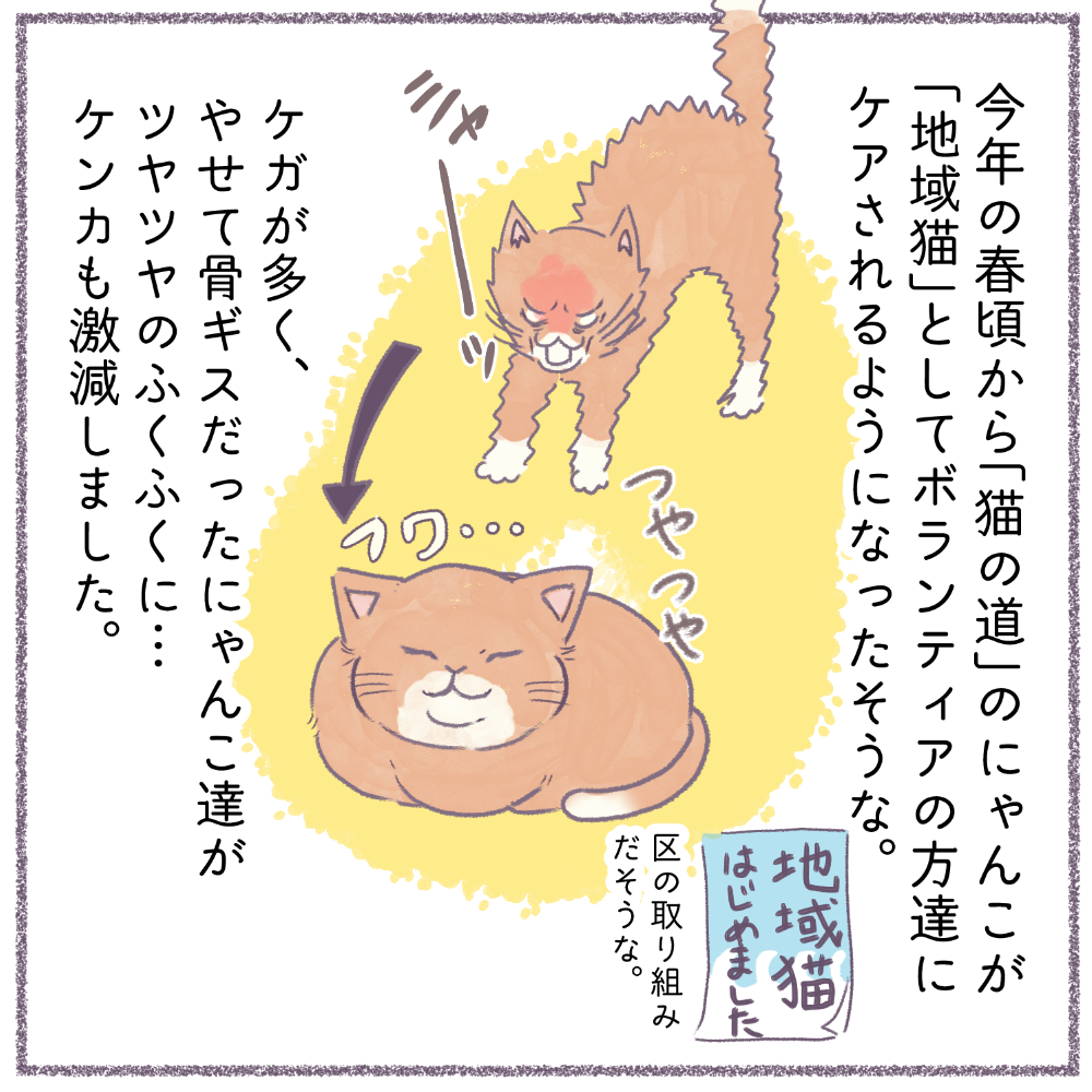 【地域猫!日記】再掲
猫アレルギーだけど
猫は気になる存在です。
#猫の日 #猫の日2022
#コミックエッセイ