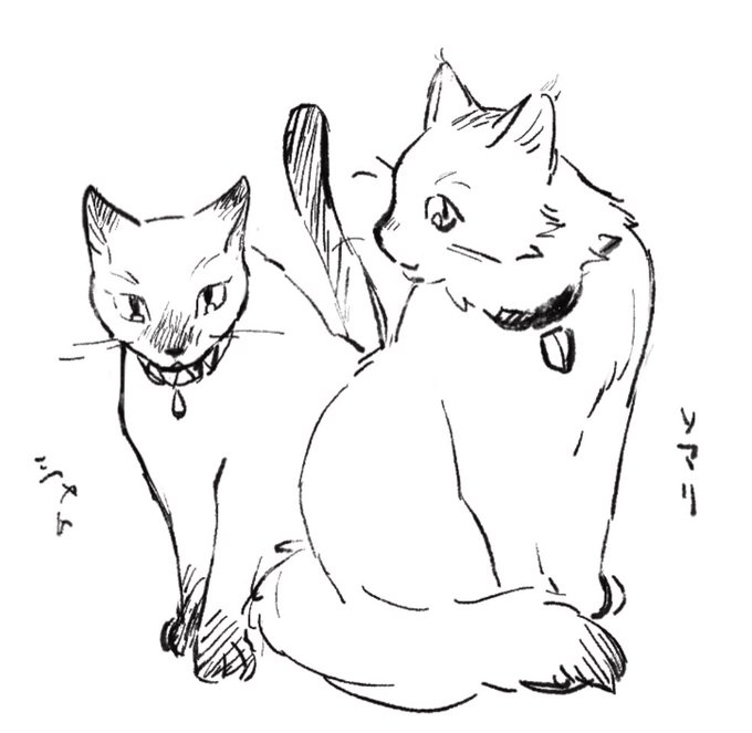 🚮🐱 