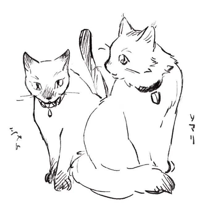 🚮🐱 