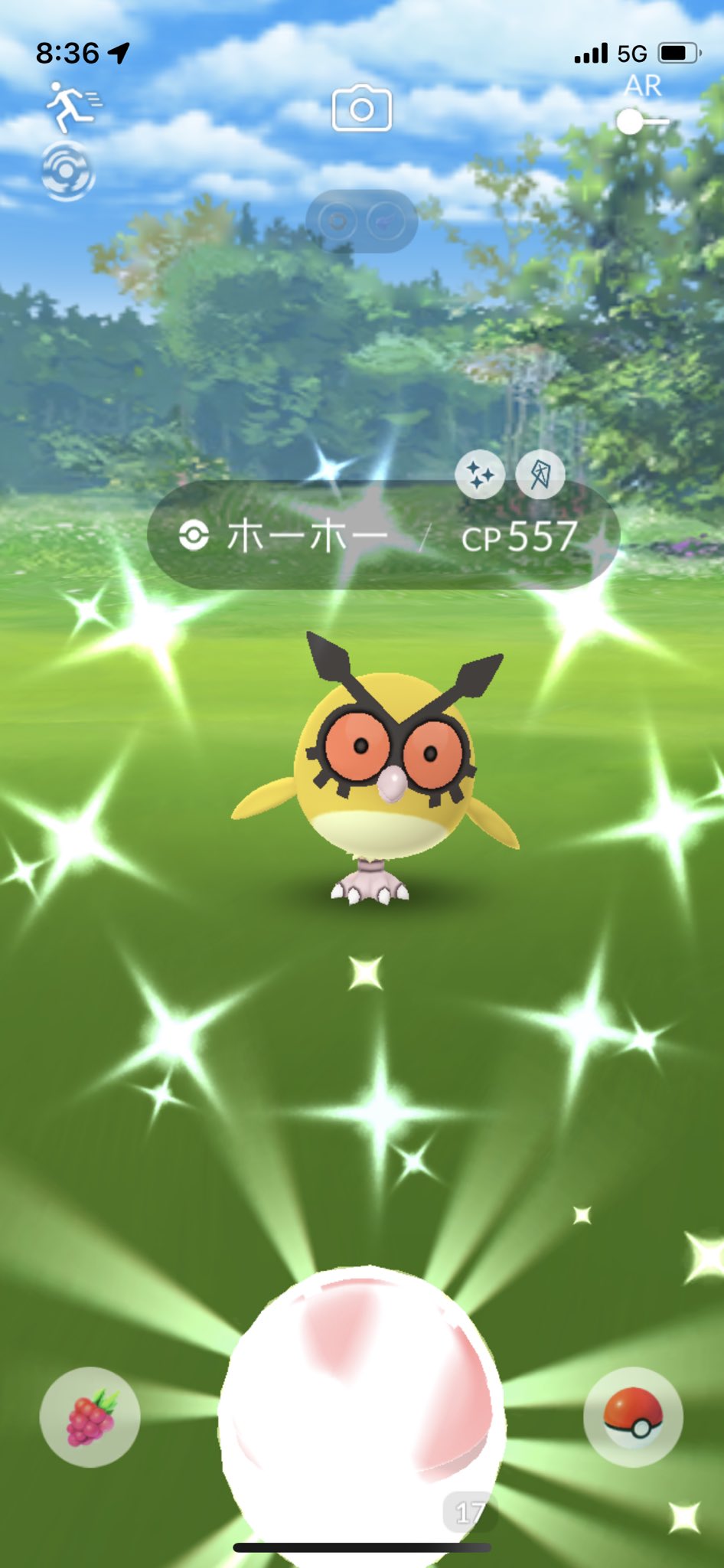 Hiro やっときてくれた Pokemongo ポケモンgo ホーホー 色違い はじめまして 待ってました T Co 8b4hg34h80 Twitter