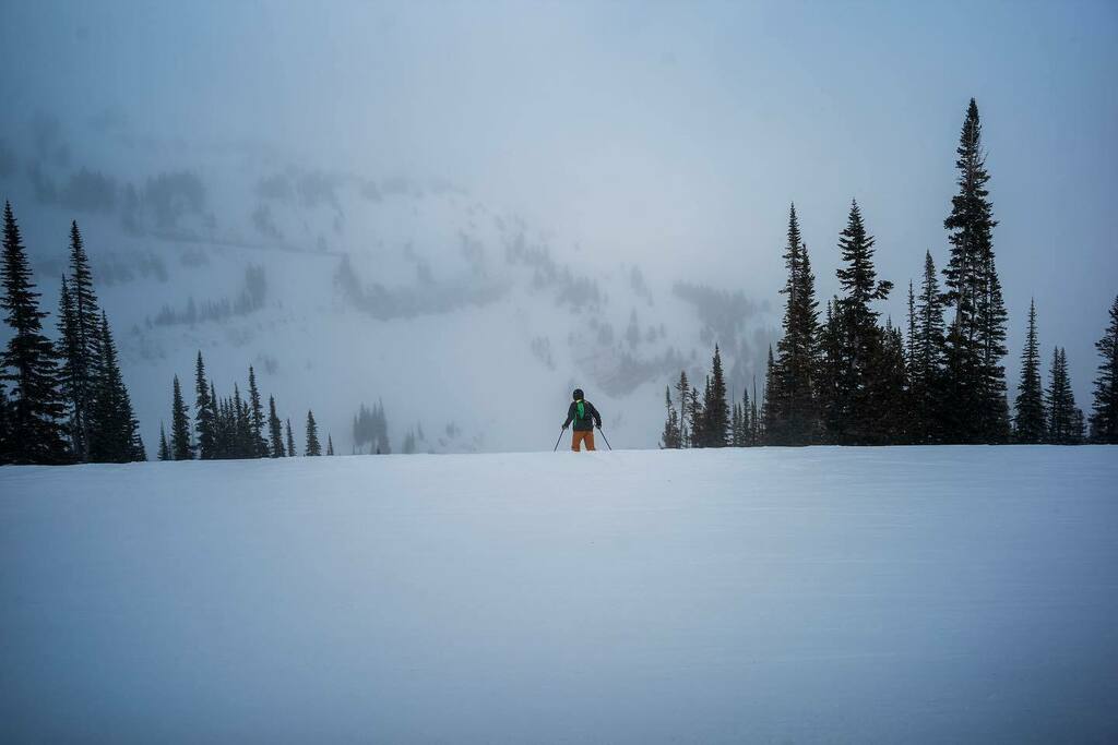 stirwise's tweet image. Over the hill
.
.
#skiing #snowday #skication #jacksonhole #shoshoneland #cheyenneland #🏔 #🎿 #⛷ #❄️ #rendezvousmountain #leicam #leicam10 #nokton21mmf14